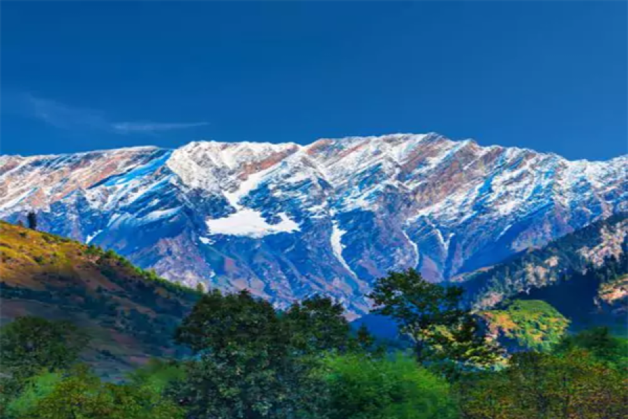 Manali Volvo Tour Packages